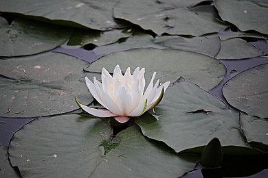 科隆：科幻FPS《原子之心》战斗预告